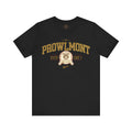 Black varsity style t-shirt with 'Prowlmont Grit City Tigers' text and tiger logo on a white background